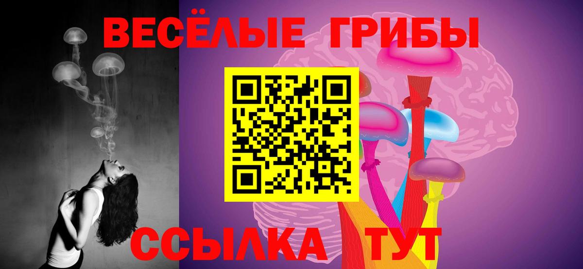 Галлюциногенные грибы мицелий  Псилоцибиновые грибы Psilocybe  Вход с VPN  Пушкино 